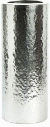 Hammered finish stainless steel plant containers